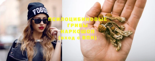 spice Аркадак
