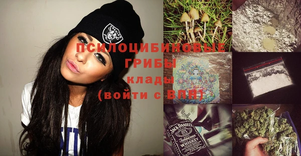 spice Аркадак