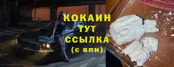 spice Аркадак