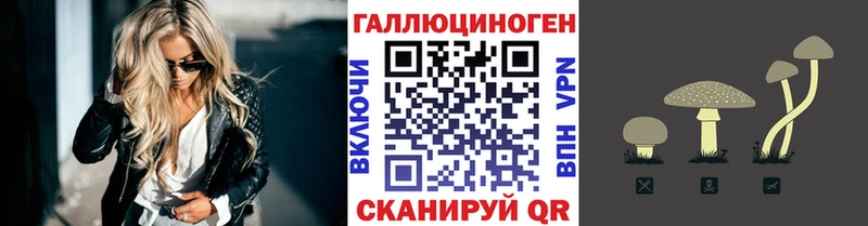 Псилоцибиновые грибы Cubensis  магазин  наркотиков  Волгоград 