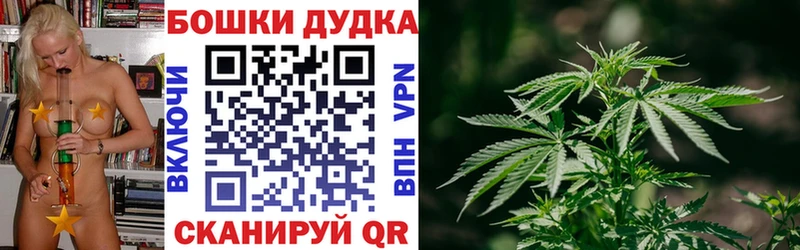 Канабис планчик  кракен вход  Волгоград 
